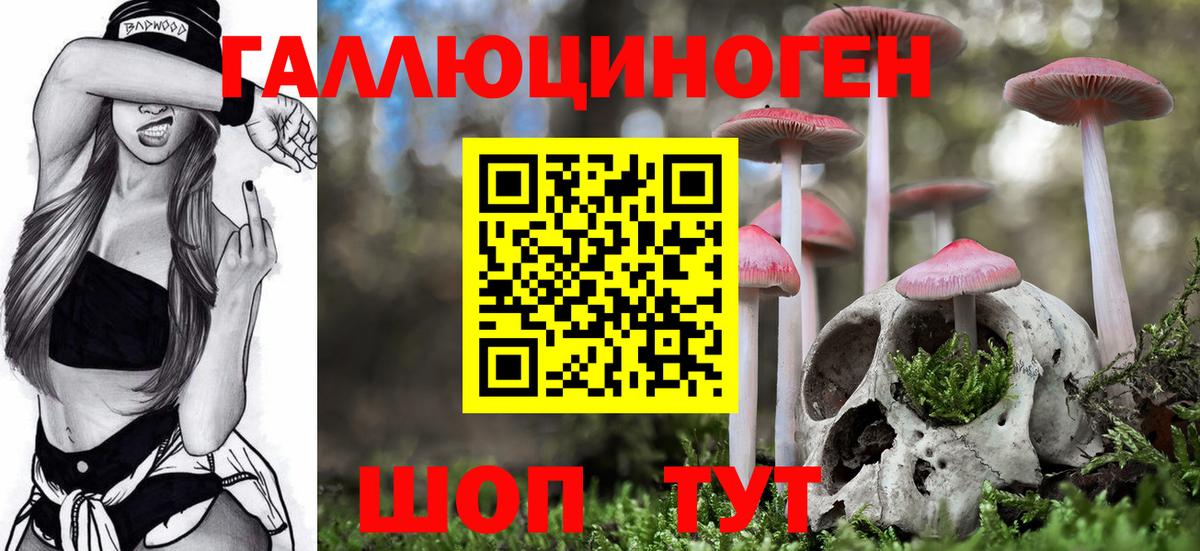 Батайск  Галлюциногенные грибы GOLDEN TEACHER  Вход с VPN  Галлюциногенные грибы Psilocybe 